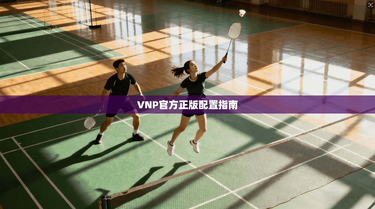 VNP官方正版配置指南  第1张