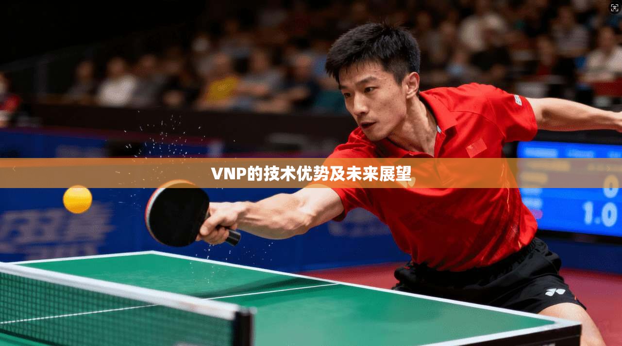 VNP的技术优势及未来展望 第1张 VNP的技术优势及未来展望 第1张