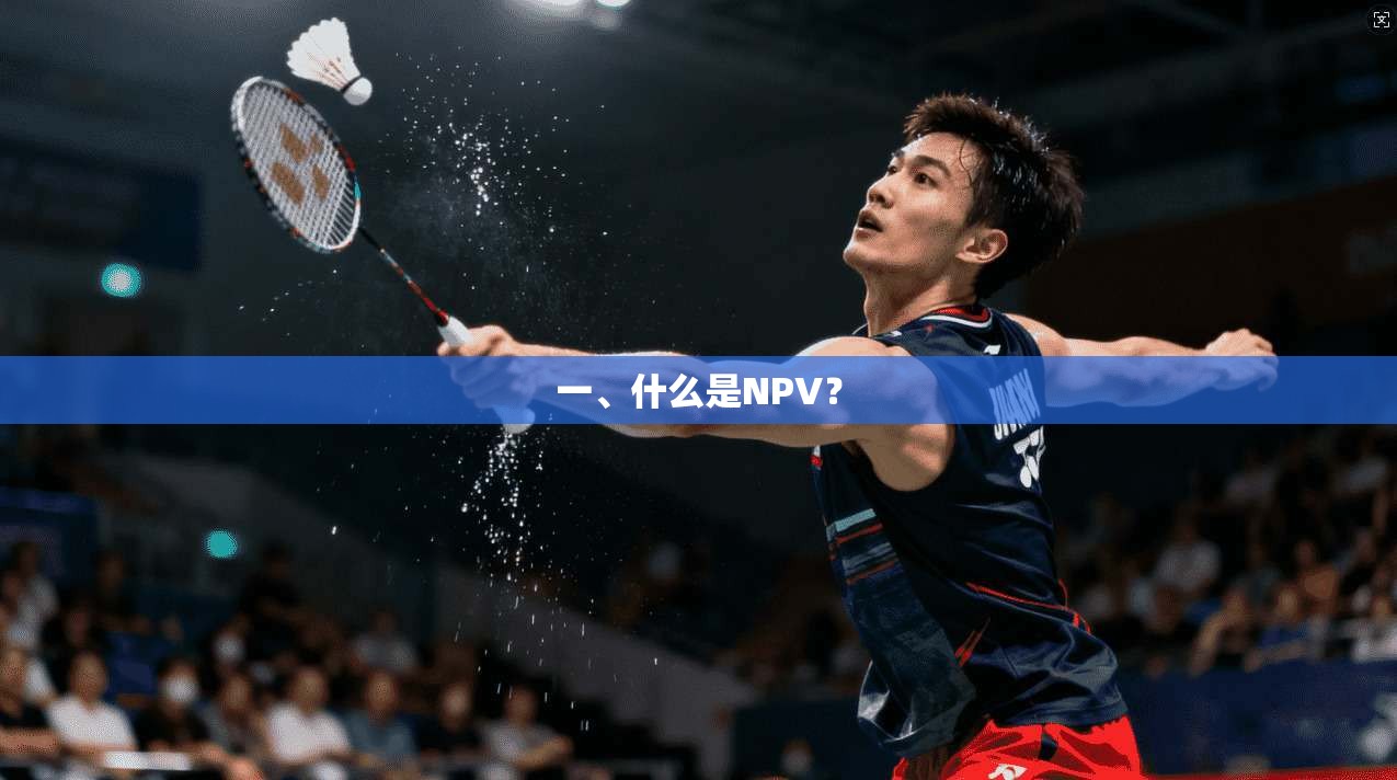 一、什么是NPV？  第1张