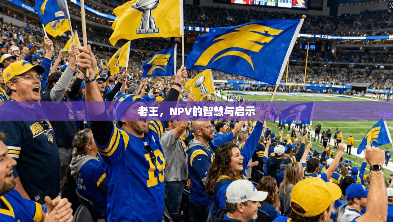 老王，NPV的智慧与启示  第1张