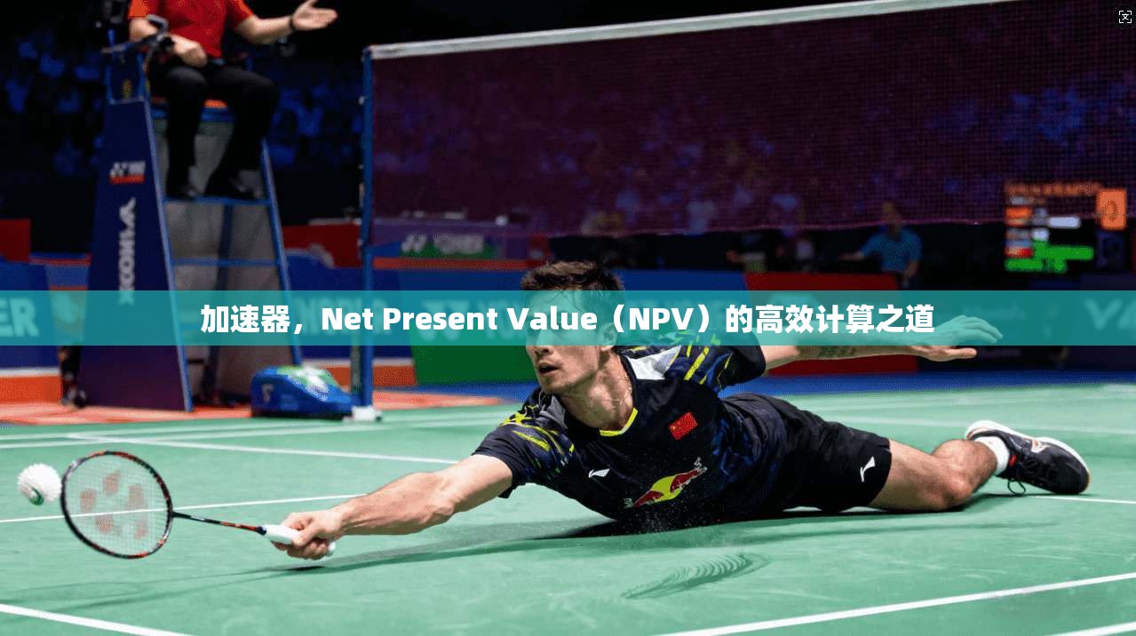 加速器，Net Present Value（NPV）的高效计算之道  第1张