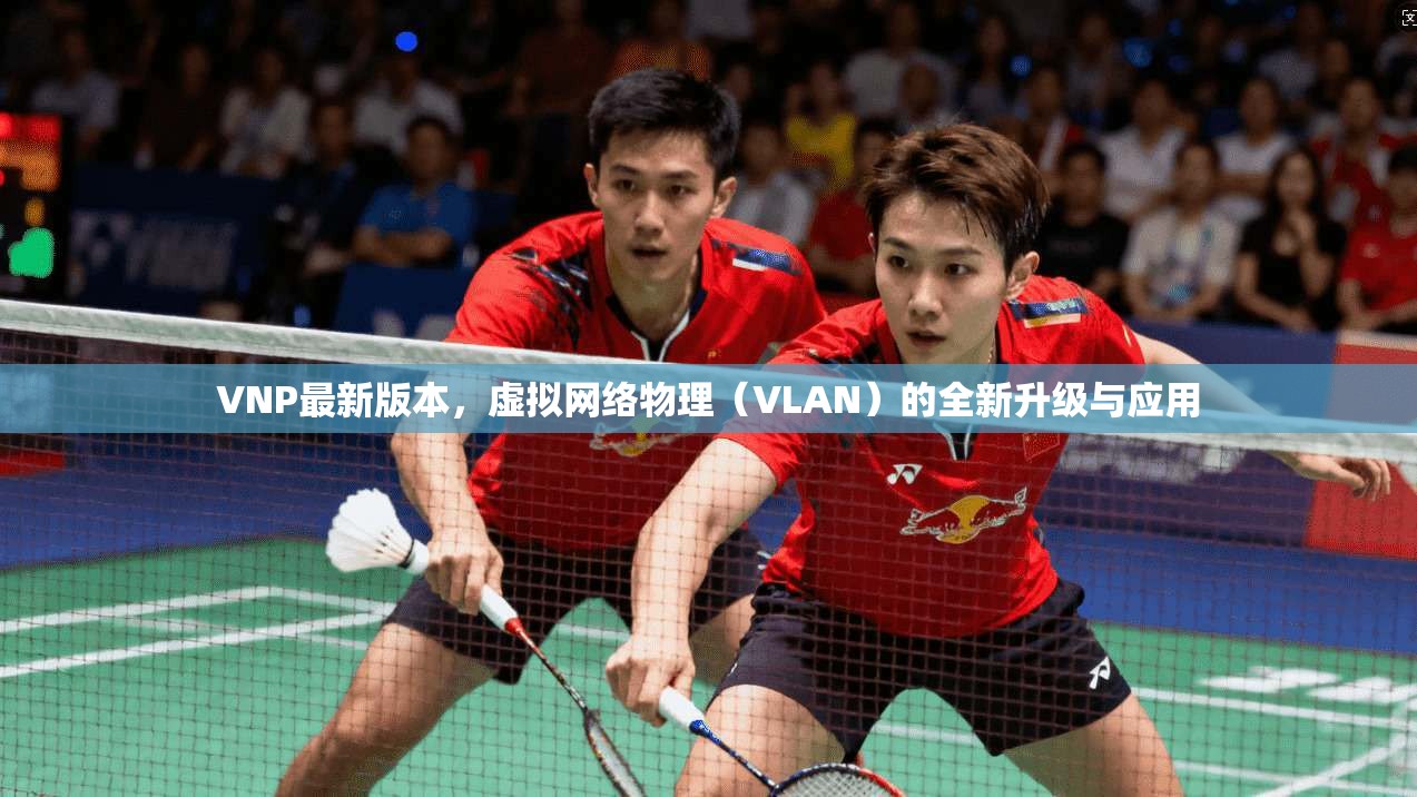 VNP最新版本，虚拟网络物理（VLAN）的全新升级与应用  第1张
