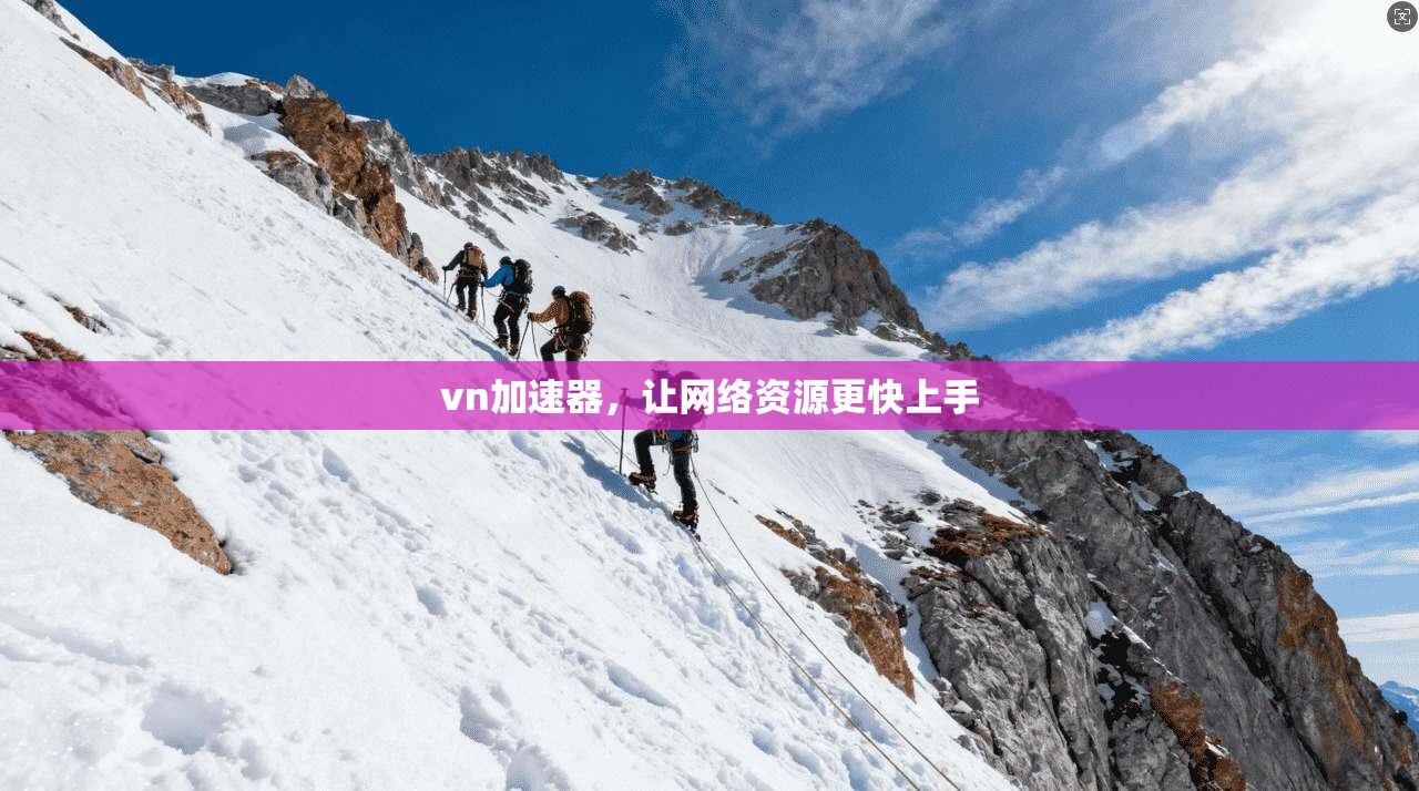 vn加速器，让网络资源更快上手  第1张