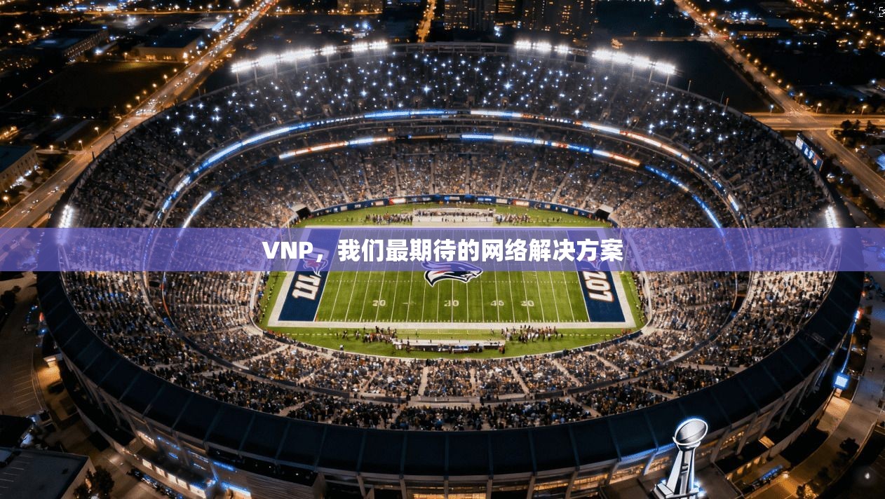 VNP,我们最期待的网络解决方案 第1张 VNP,我们最期待的网络解决方案 第1张