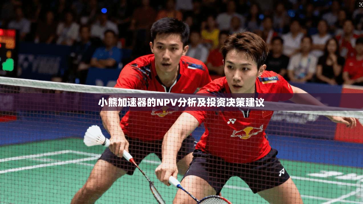 小熊加速器的NPV分析及投资决策建议  第1张