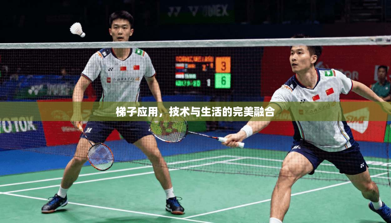 梯子应用，技术与生活的完美融合  第1张