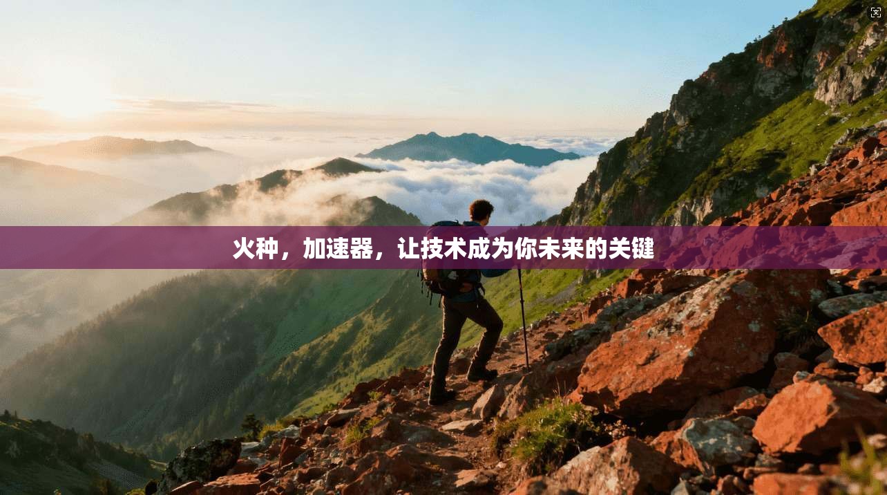 火种，加速器，让技术成为你未来的关键  第1张