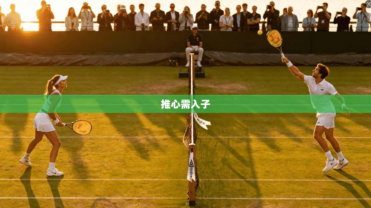 推心需入子  第1张