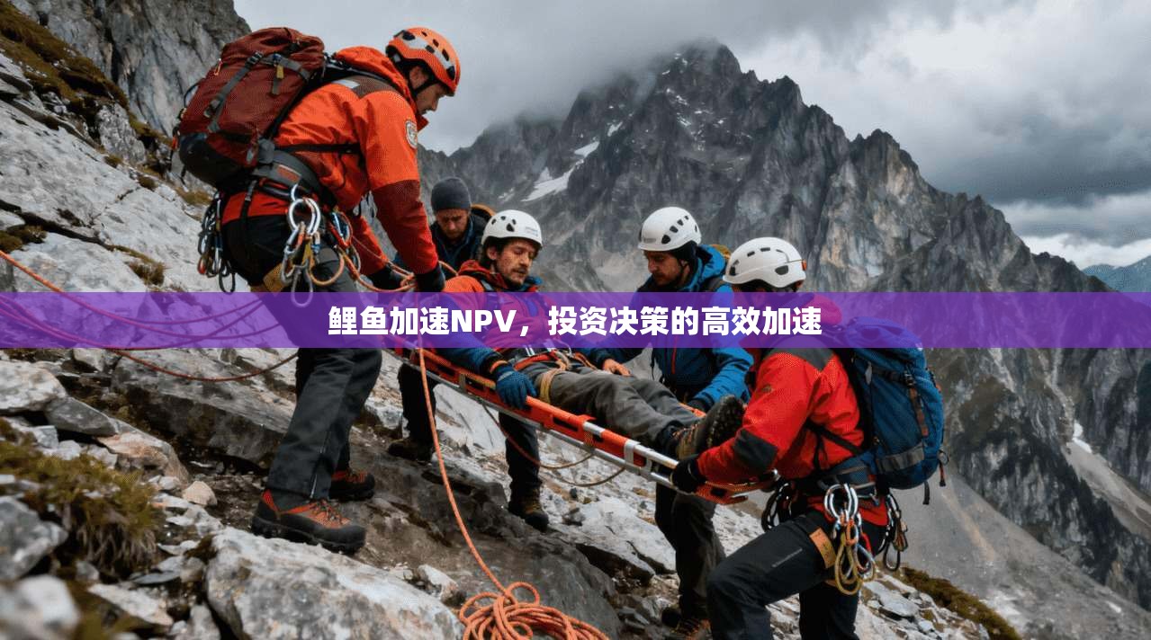 鲤鱼加速NPV，投资决策的高效加速  第1张
