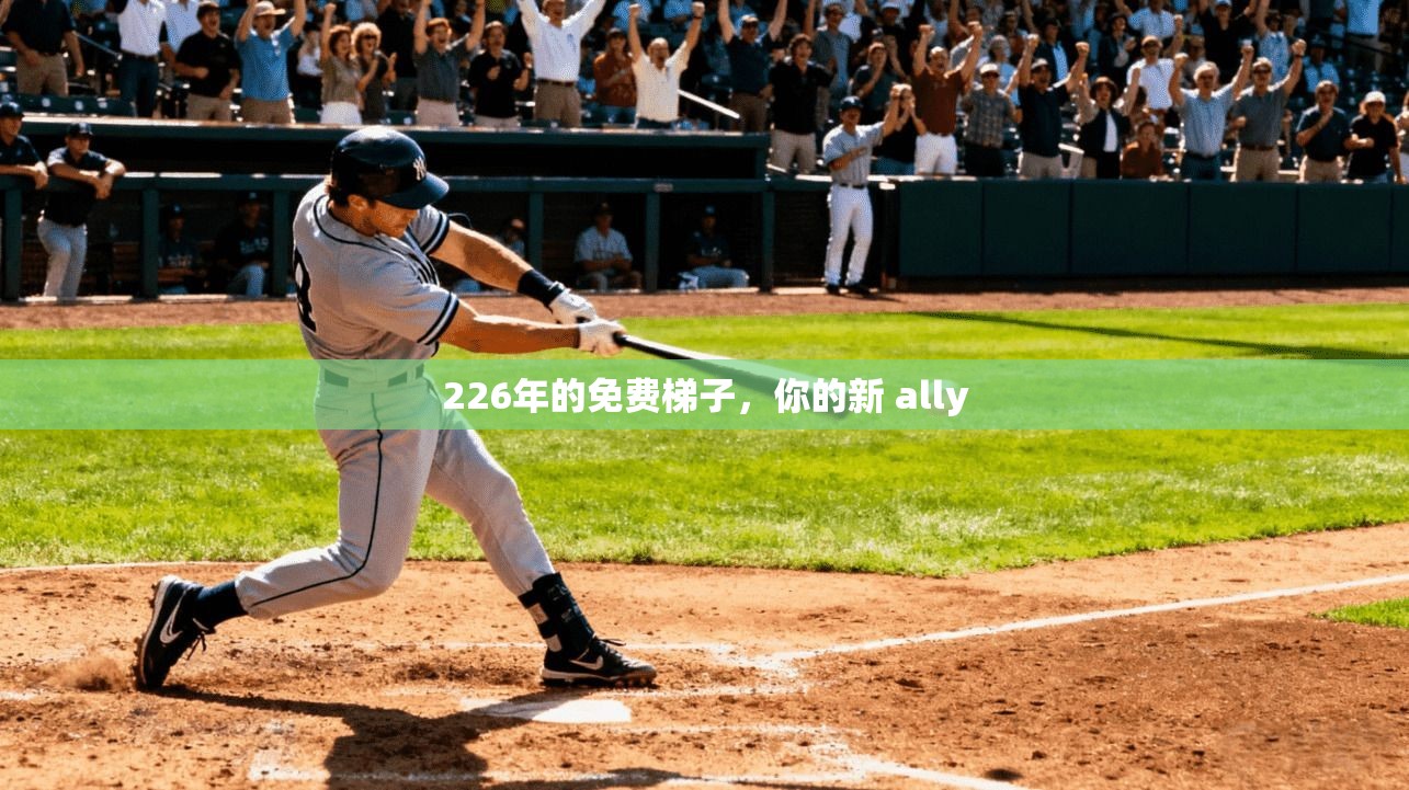 226年的免费梯子，你的新 ally  第1张