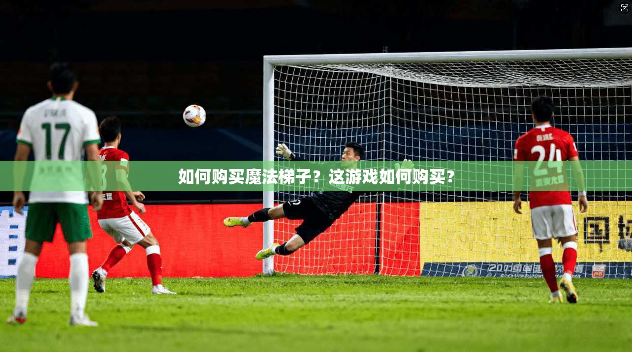 如何购买魔法梯子?这游戏如何购买? 第1张 如何购买魔法梯子?这游戏如何购买? 第1张