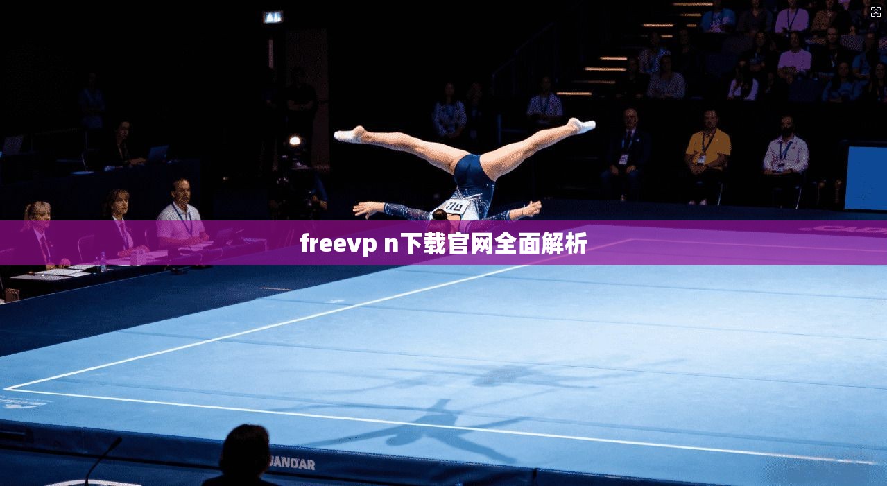 freevp n下载官网全面解析  第1张