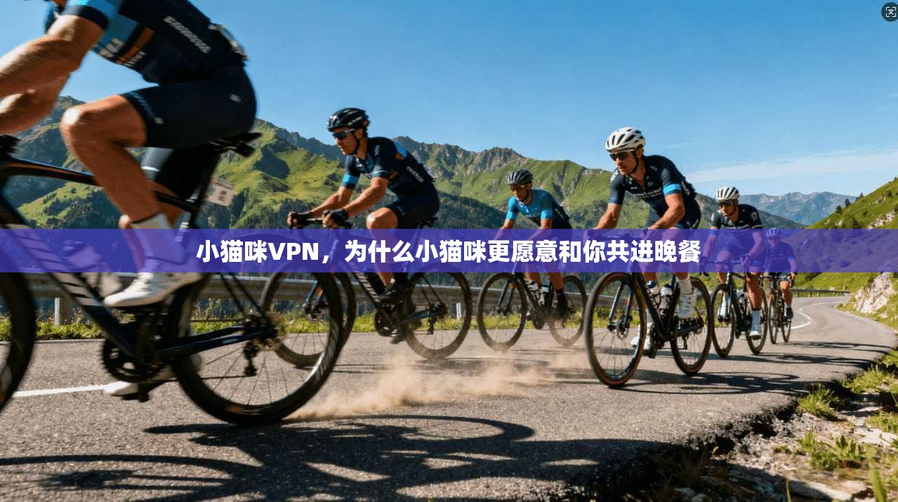 小猫咪VPN，为什么小猫咪更愿意和你共进晚餐  第1张