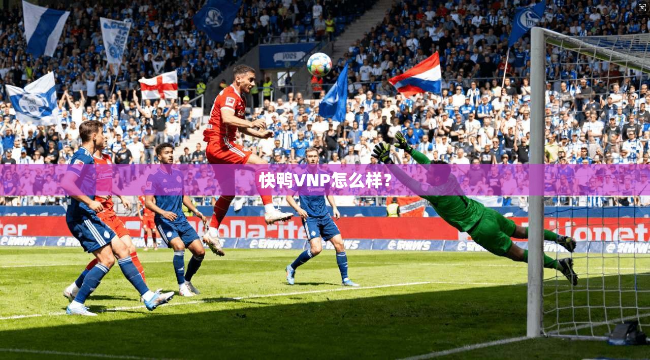 快鸭VNP怎么样？  第1张
