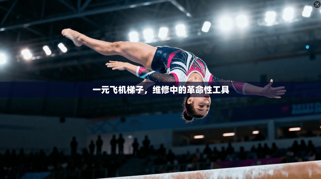 一元飞机梯子，维修中的革命性工具  第1张