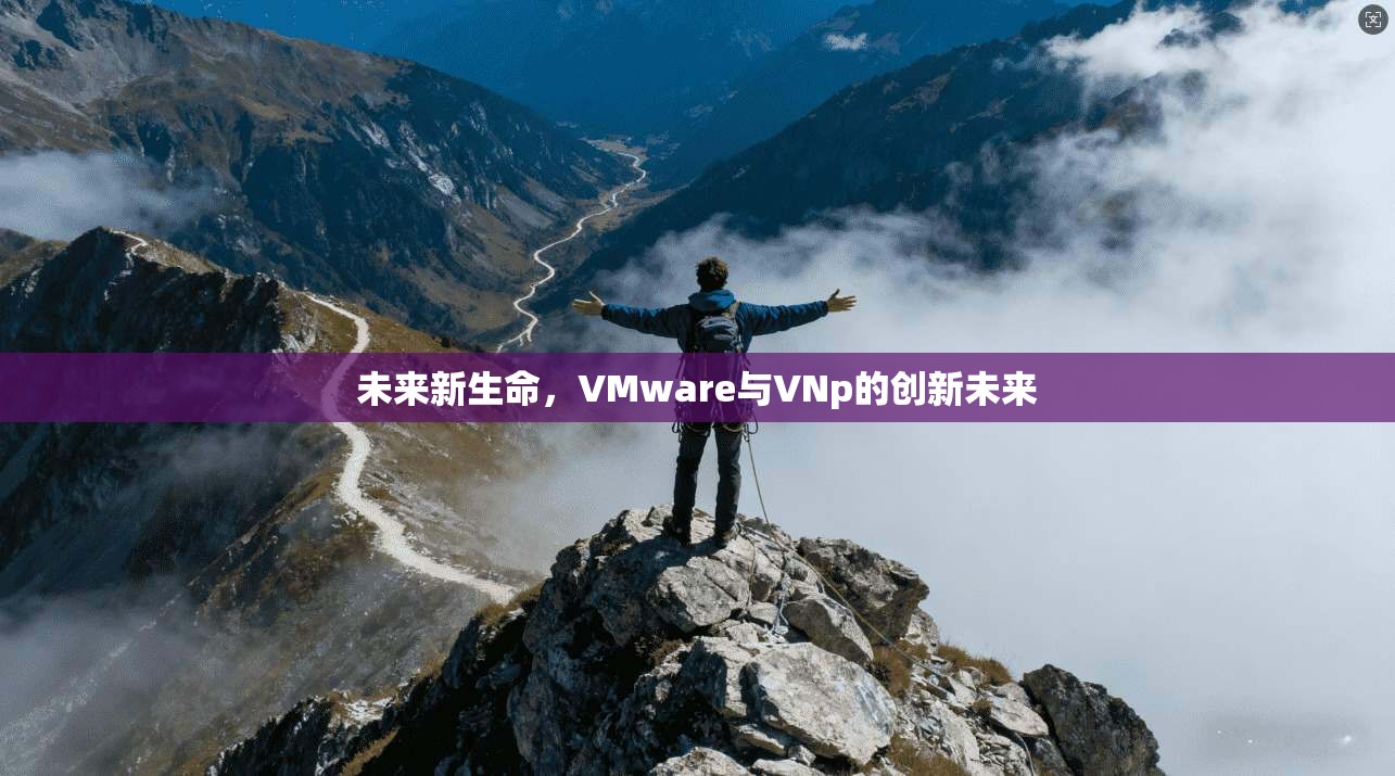 未来新生命，VMware与VNp的创新未来  第1张
