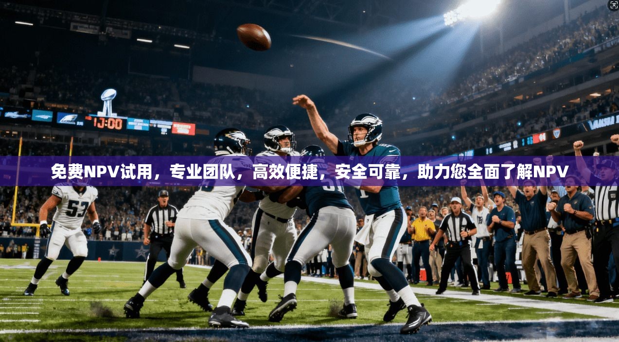 免费NPV试用，专业团队，高效便捷，安全可靠，助力您全面了解NPV  第1张