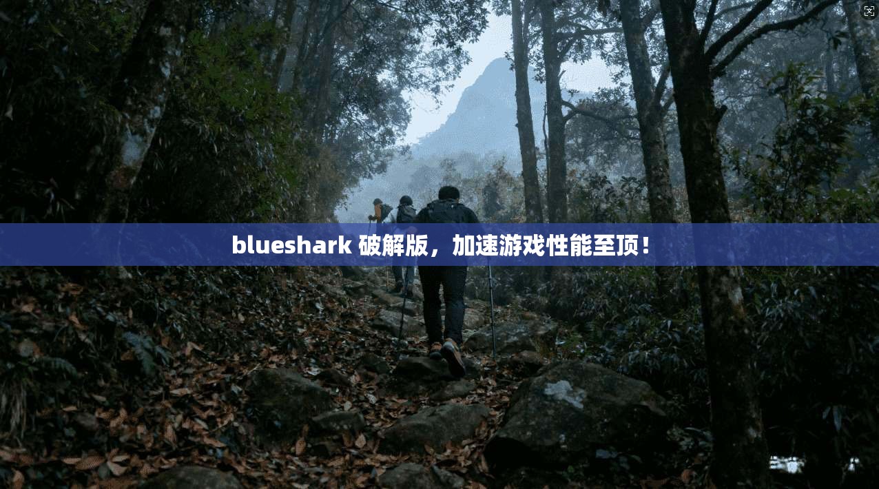 blueshark 破解版，加速游戏性能至顶！  第1张