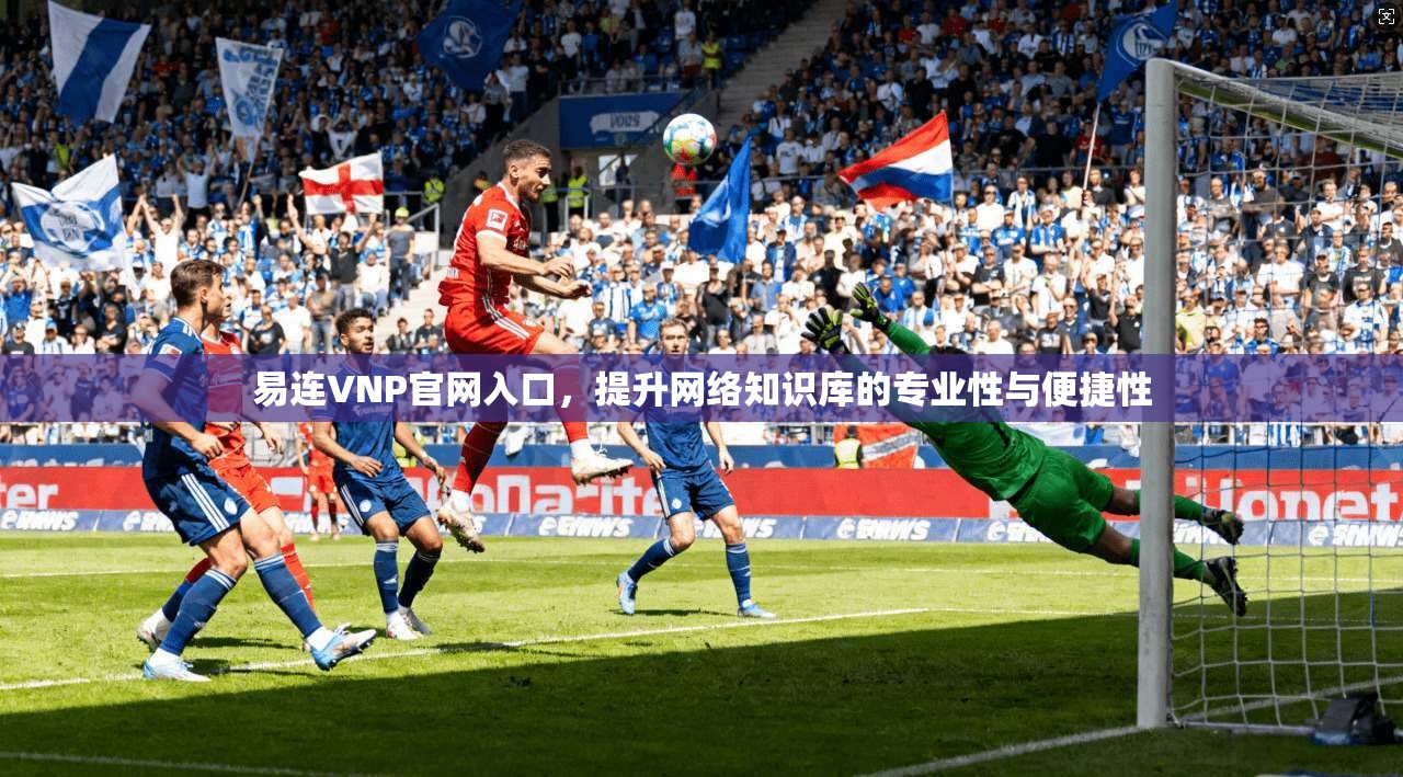 易连VNP官网入口，提升网络知识库的专业性与便捷性  第1张