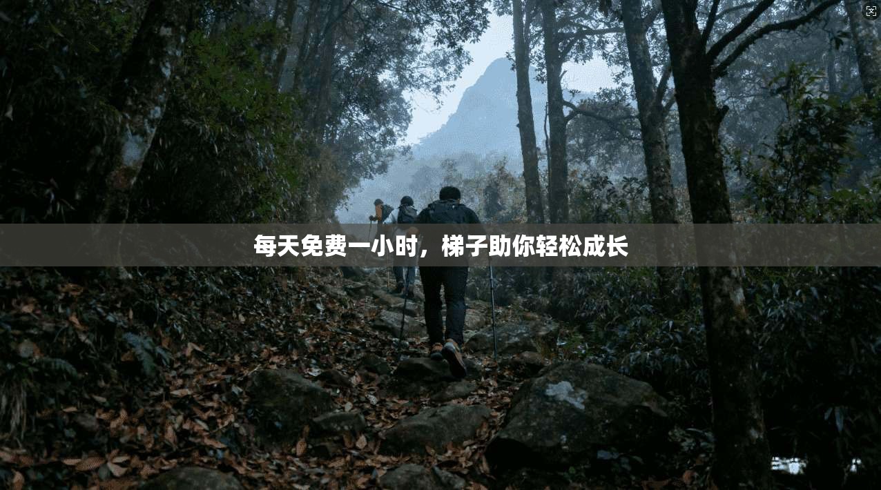 每天免费一小时，梯子助你轻松成长  第1张