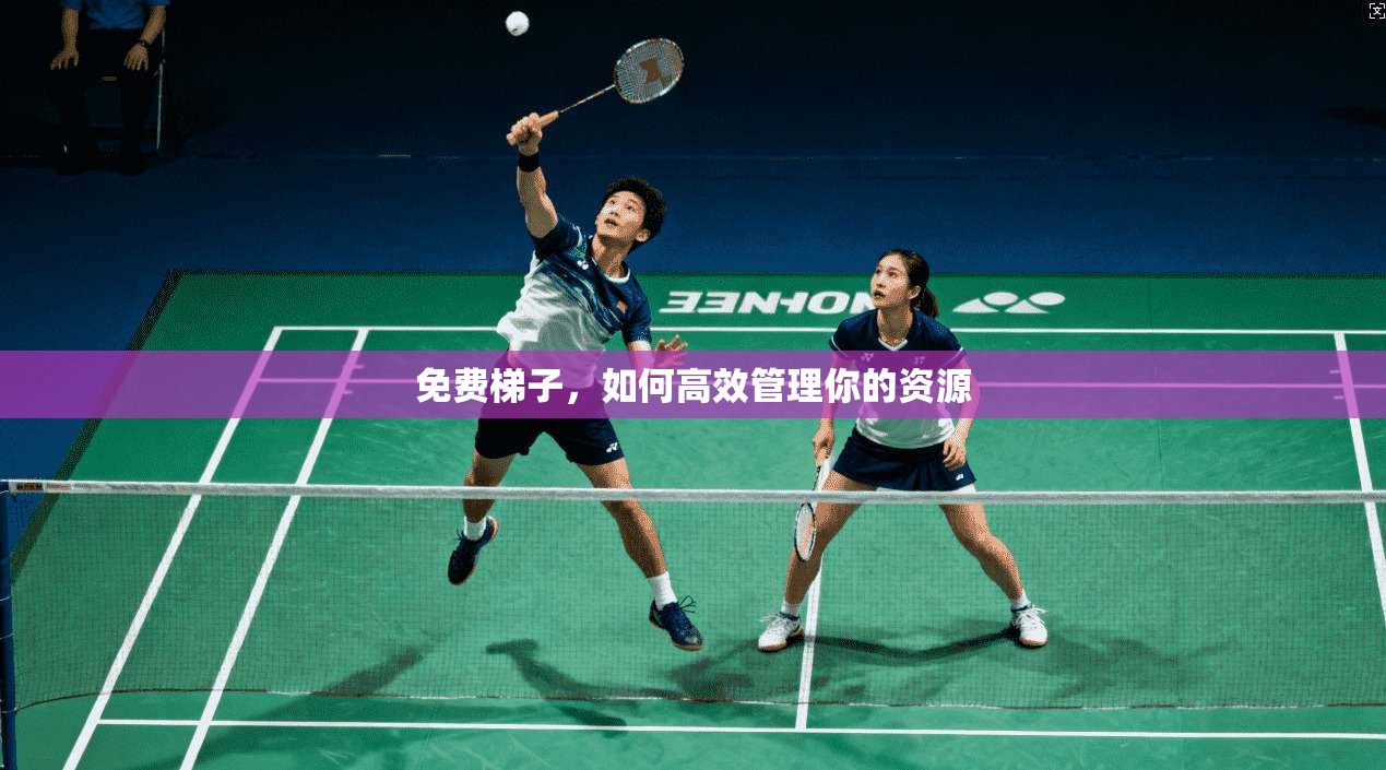 免费梯子，如何高效管理你的资源  第1张