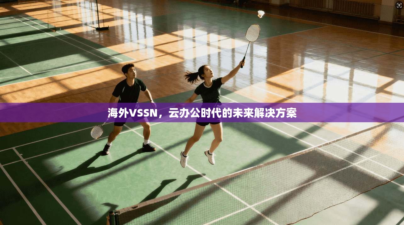 海外VSSN,云办公时代的未来解决方案 第1张 海外VSSN,云办公时代的未来解决方案 第1张
