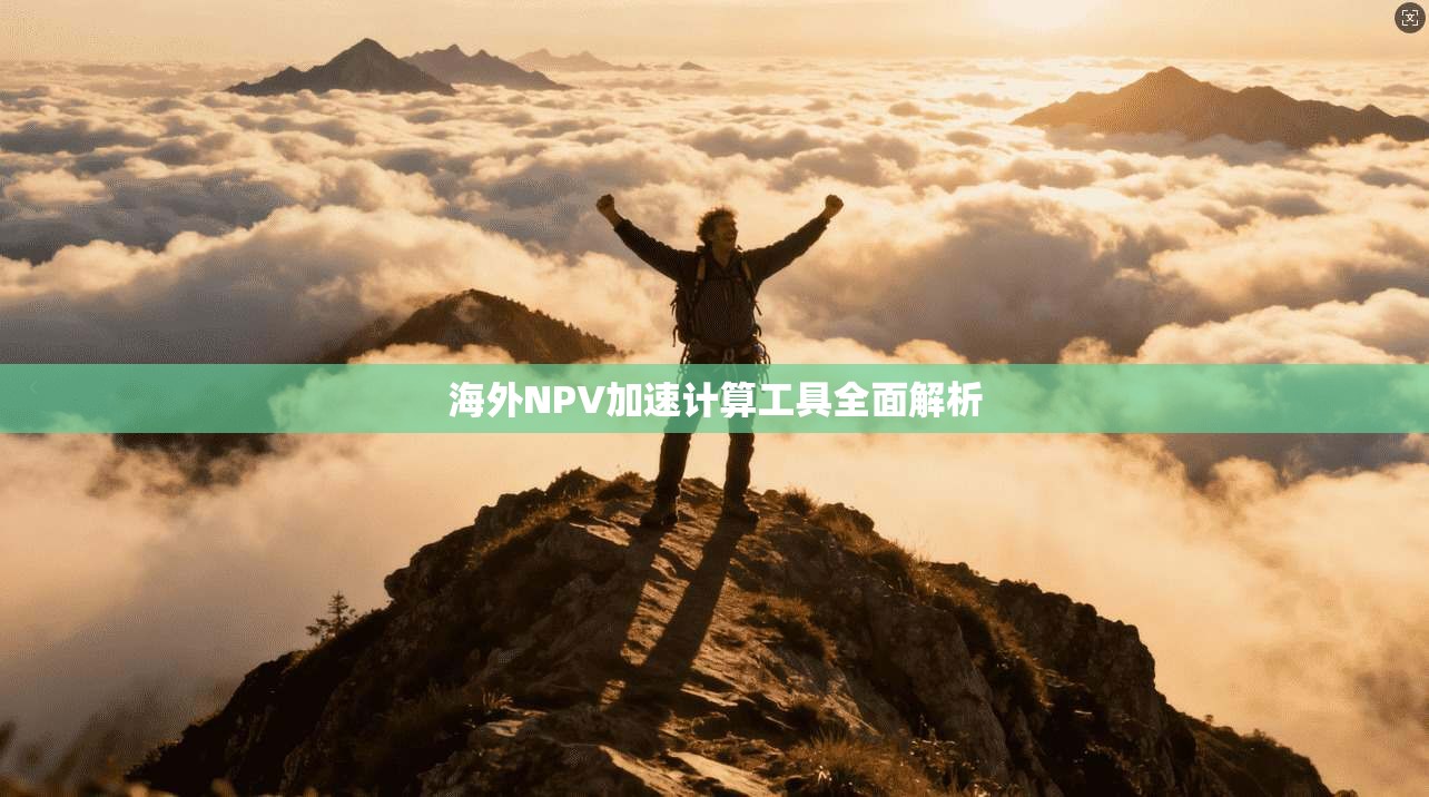 海外NPV加速计算工具全面解析 第1张 海外NPV加速计算工具全面解析 第1张