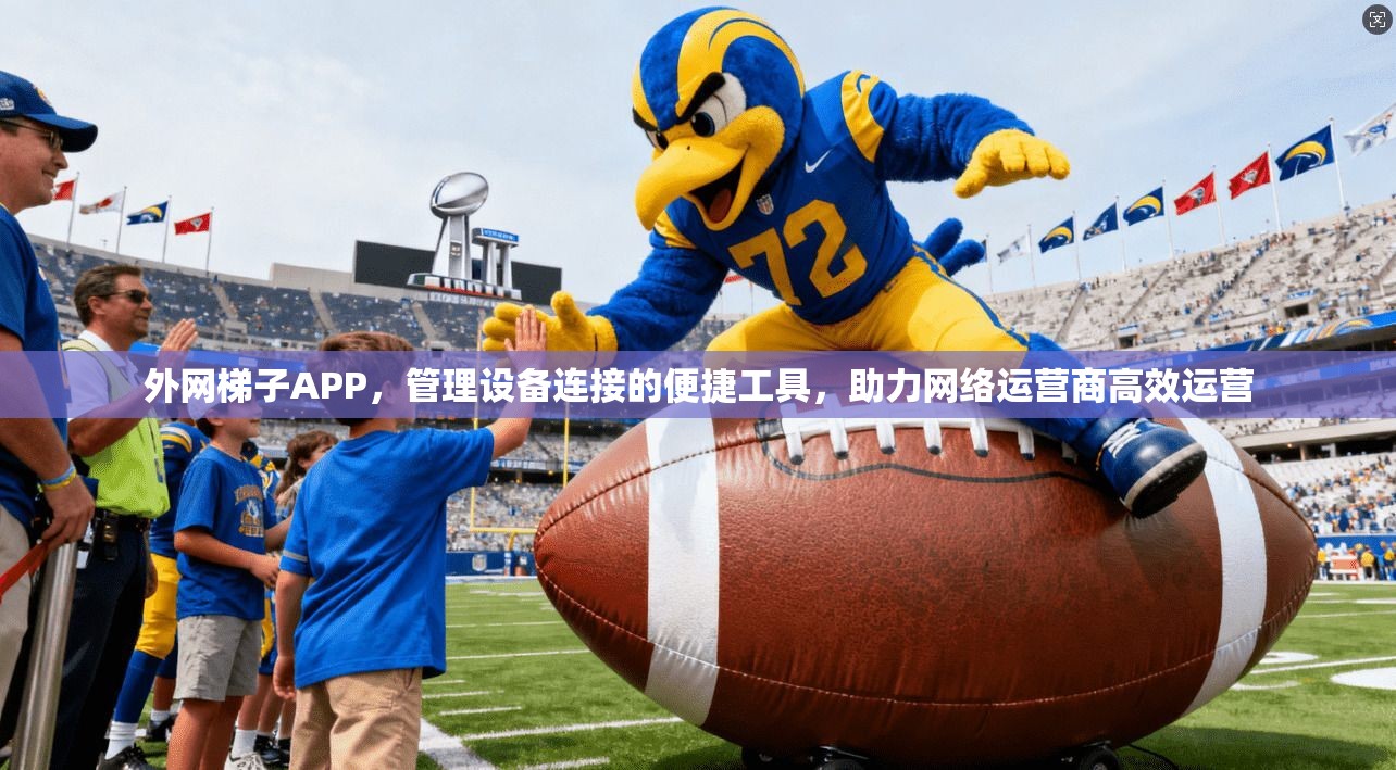 外网梯子APP，管理设备连接的便捷工具，助力网络运营商高效运营  第1张