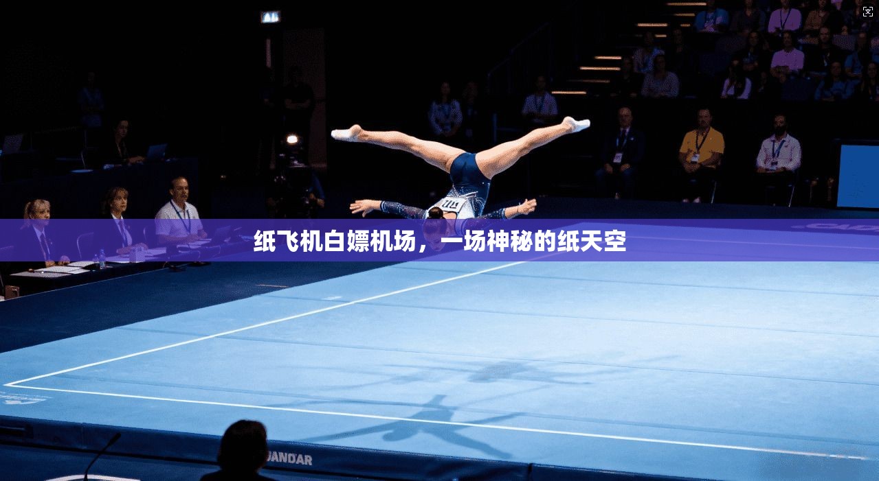 纸飞机白嫖机场,一场神秘的纸天空 第1张 纸飞机白嫖机场,一场神秘的纸天空 第1张
