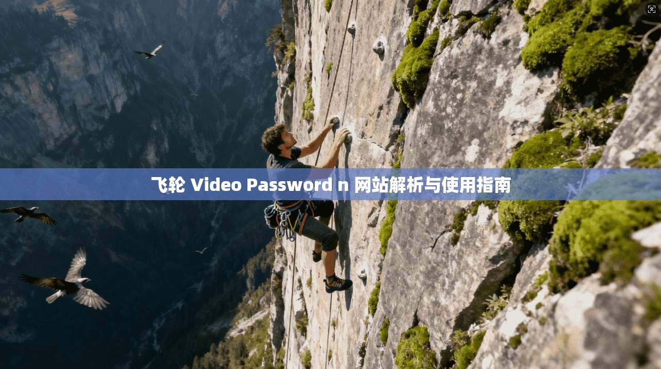 飞轮 Video Password n 网站解析与使用指南 第1张 飞轮 Video Password n 网站解析与使用指南 第1张