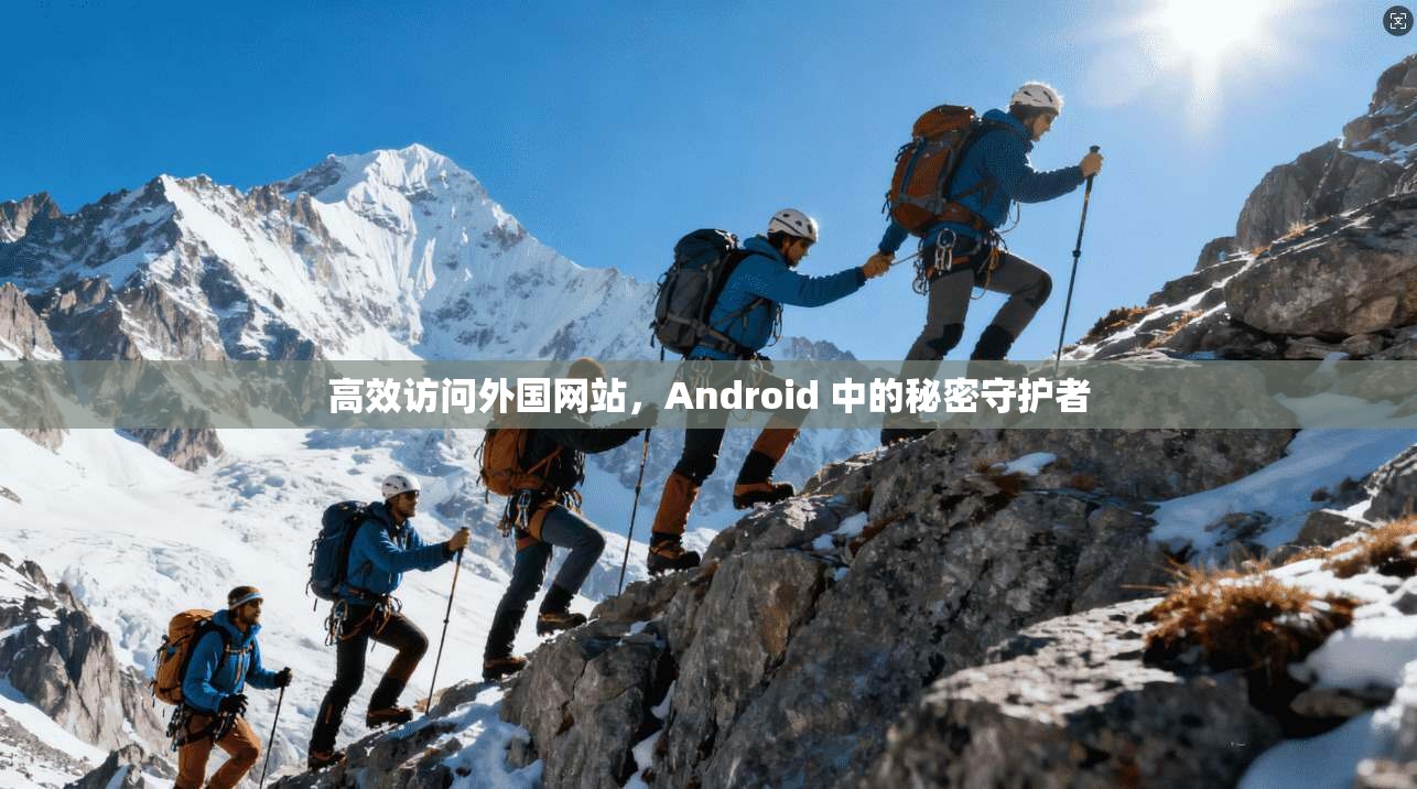 高效访问外国网站，Android 中的秘密守护者  第1张