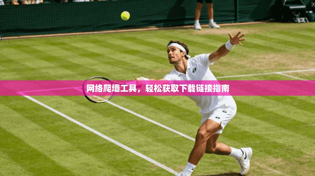 网络爬墙工具,轻松获取下载链接指南 第1张 网络爬墙工具,轻松获取下载链接指南 第1张