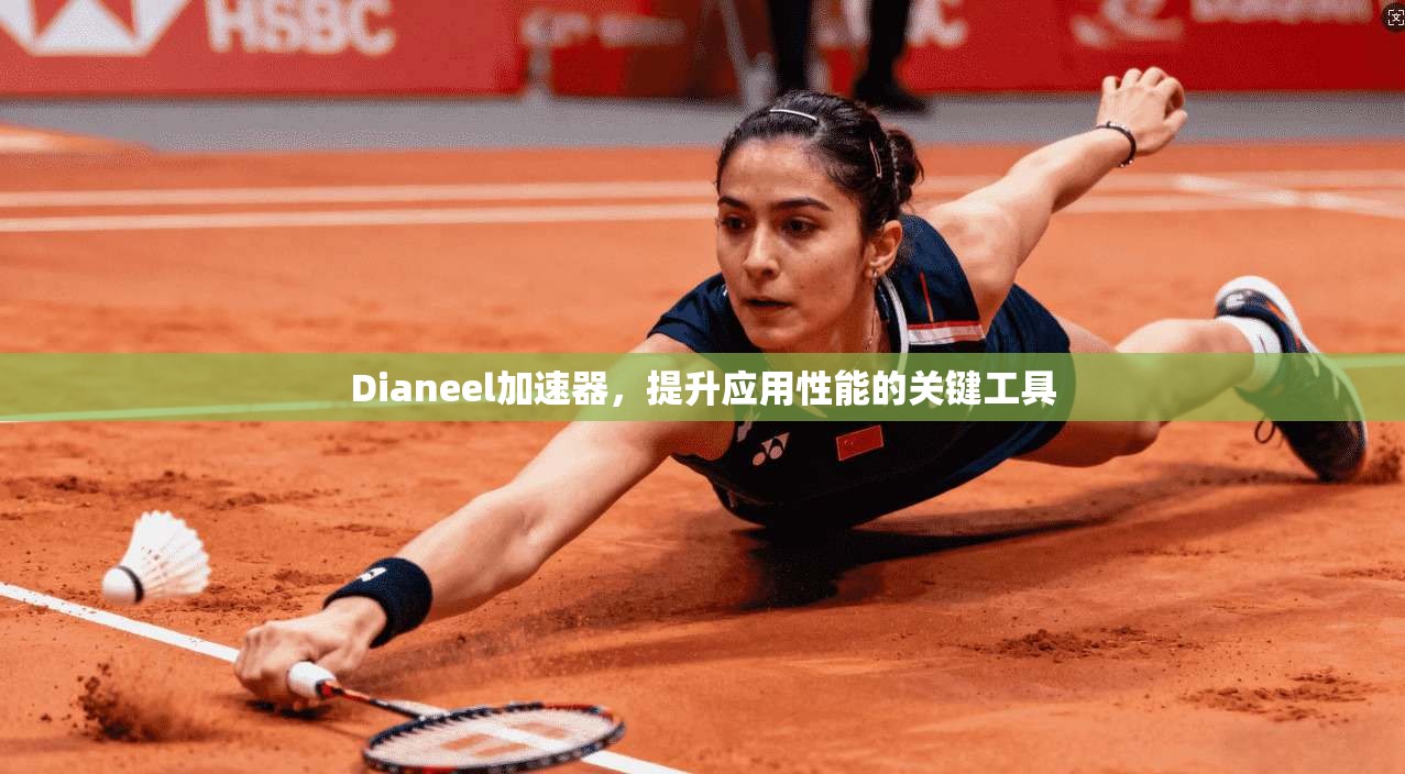 Dianeel加速器,提升应用性能的关键工具 第1张 Dianeel加速器,提升应用性能的关键工具 第1张