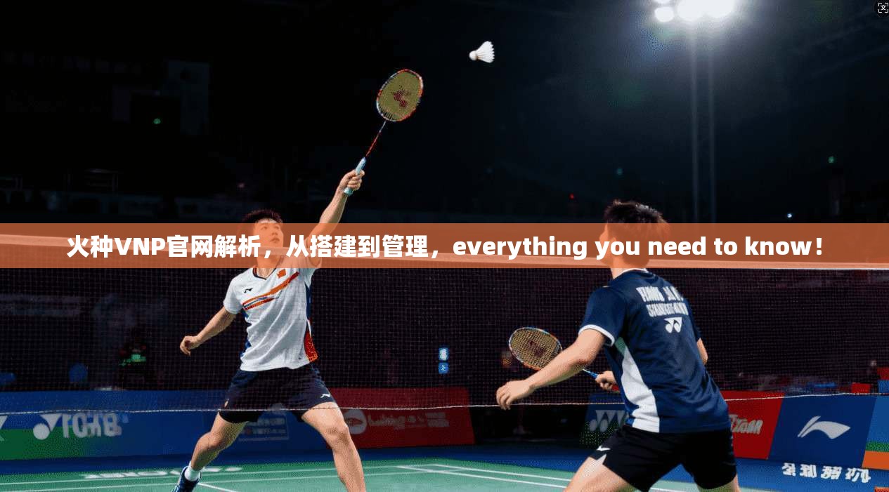 火种VNP官网解析，从搭建到管理，everything you need to know！  第1张