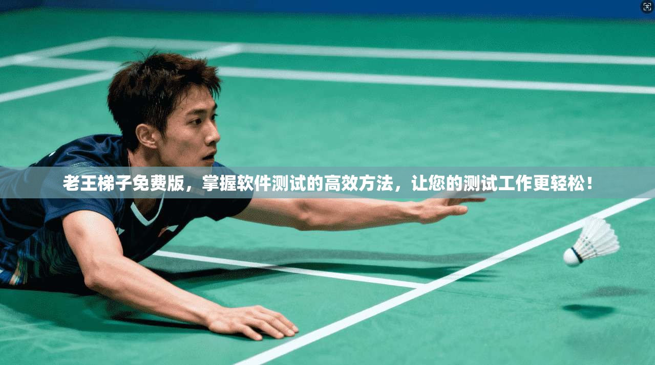 老王梯子免费版，掌握软件测试的高效方法，让您的测试工作更轻松！  第1张