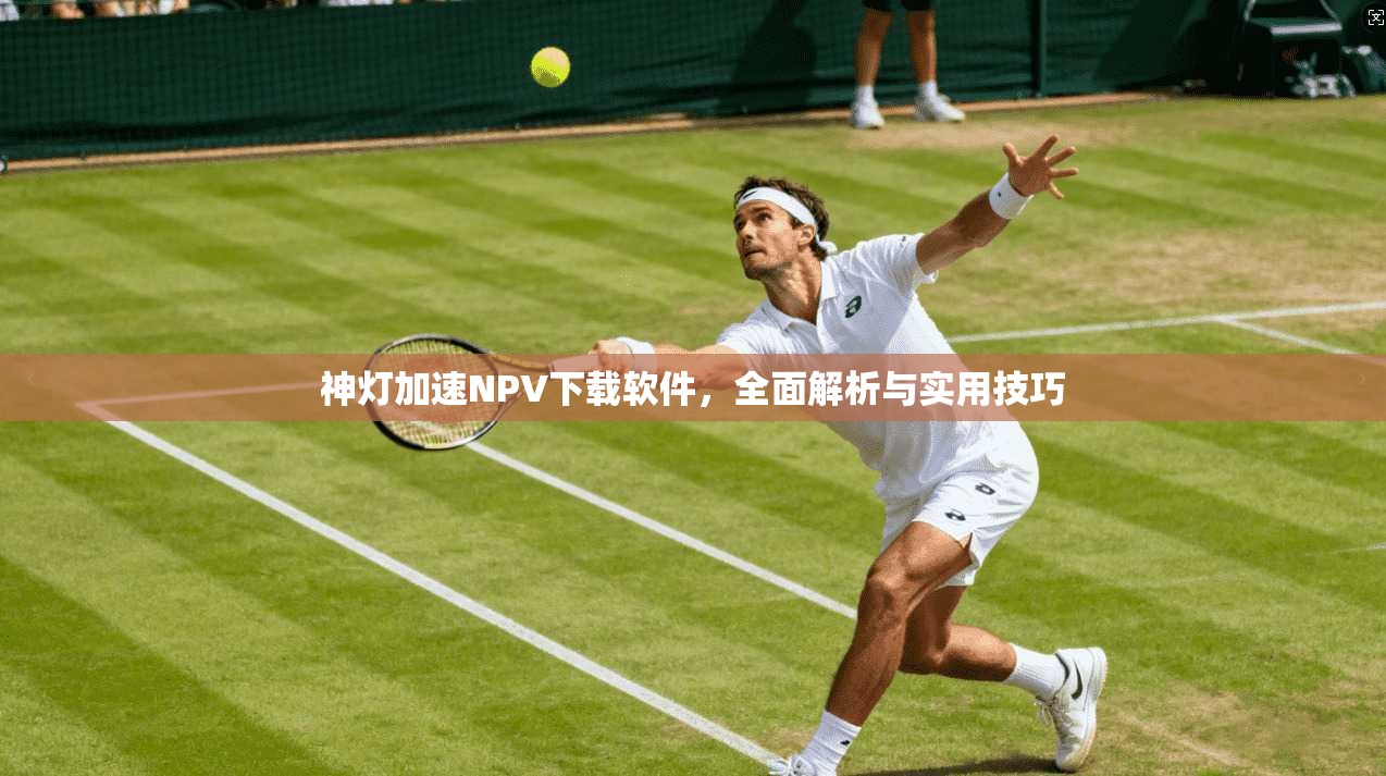 神灯加速NPV下载软件，全面解析与实用技巧  第1张