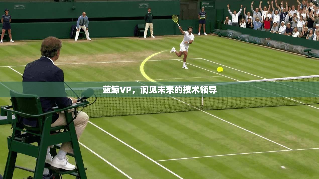 蓝鲸VP，洞见未来的技术领导  第1张