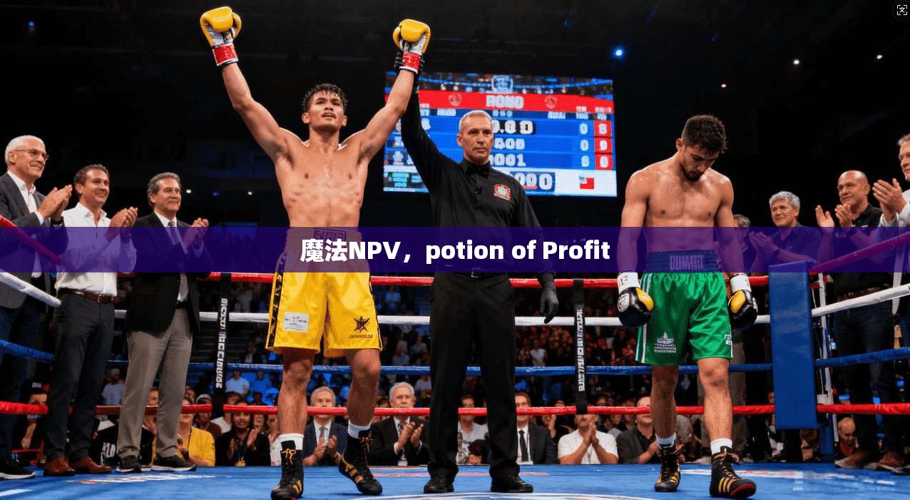 魔法NPV,potion of Profit 第1张 魔法NPV,potion of Profit 第1张