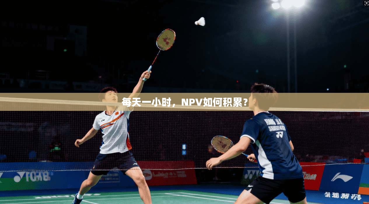 每天一小时，NPV如何积累？  第1张