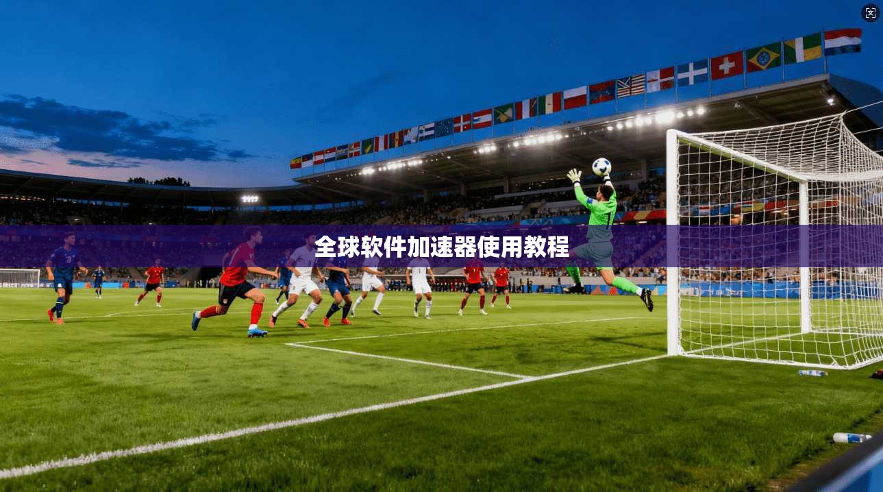 全球软件加速器使用教程  第1张