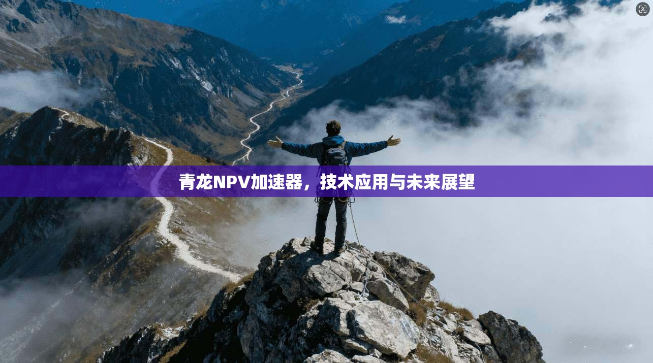 青龙NPV加速器，技术应用与未来展望  第1张