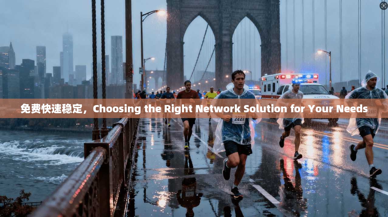 免费快速稳定，Choosing the Right Network Solution for Your Needs  第1张