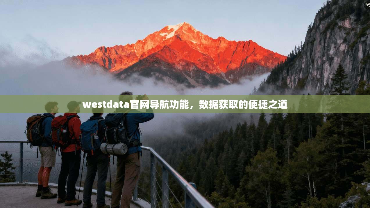 westdata官网导航功能，数据获取的便捷之道  第1张