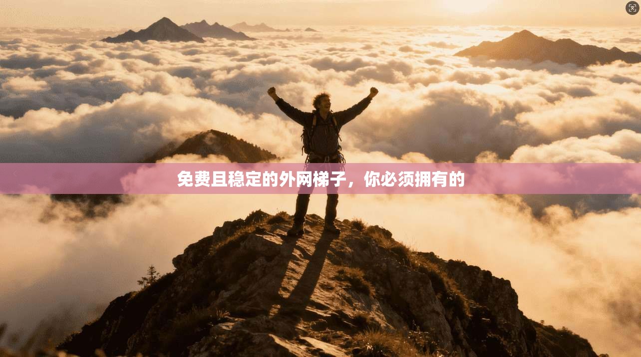 免费且稳定的外网梯子，你必须拥有的  第1张