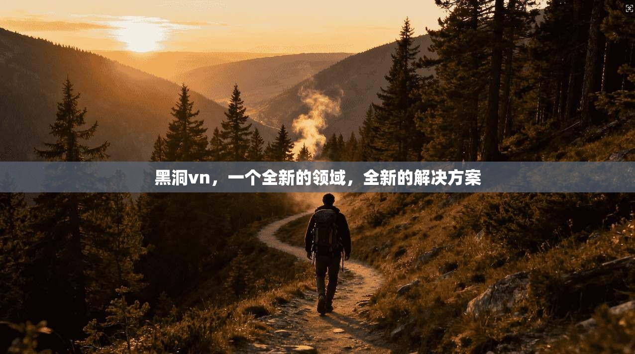 黑洞vn，一个全新的领域，全新的解决方案  第1张