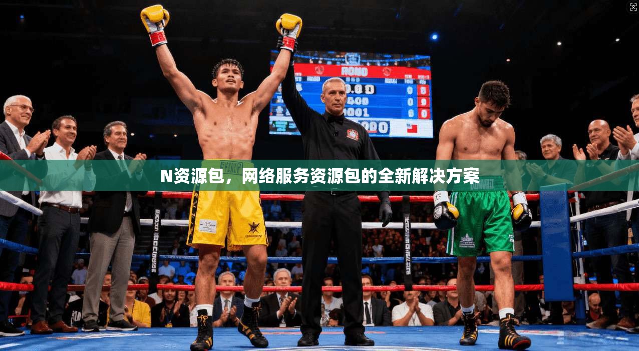N资源包，网络服务资源包的全新解决方案  第1张