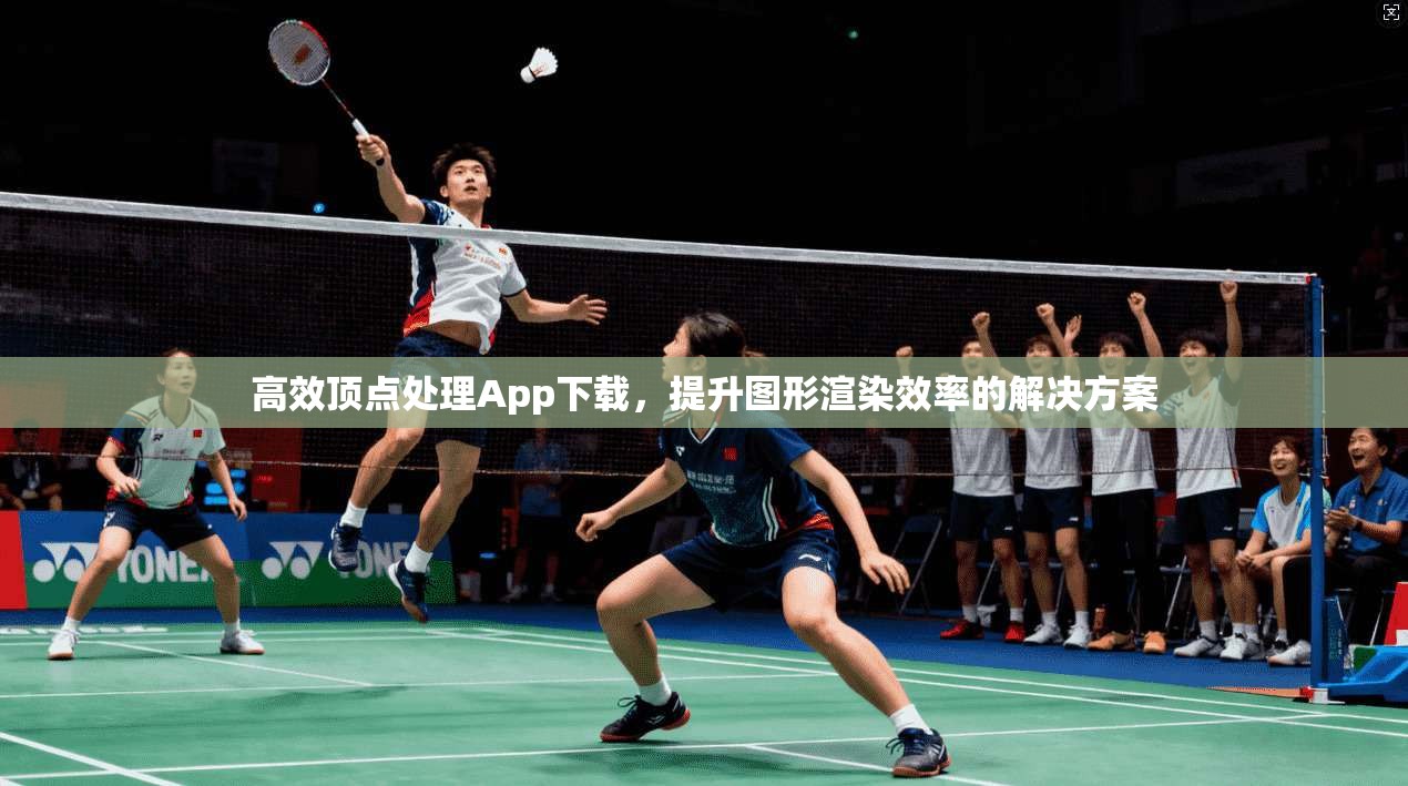 高效顶点处理App下载，提升图形渲染效率的解决方案  第1张