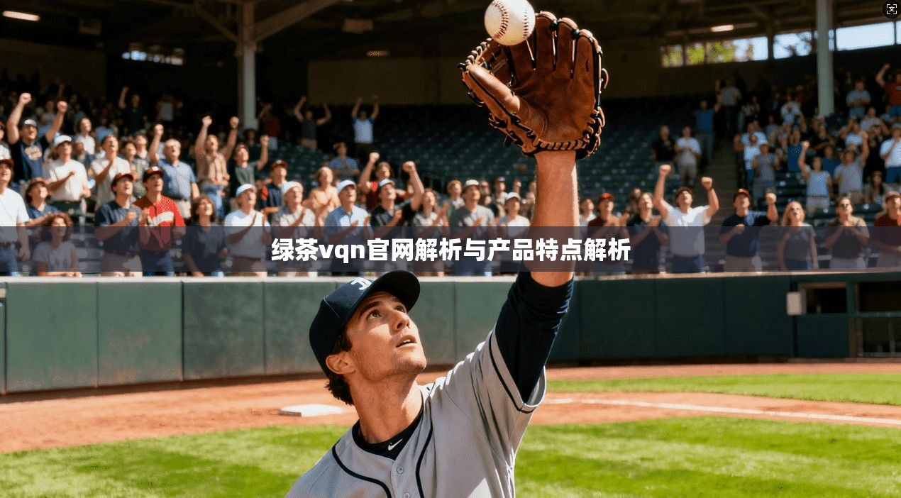 绿茶vqn官网解析与产品特点解析  第1张