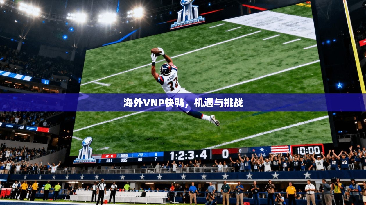 海外VNP快鸭，机遇与挑战  第1张