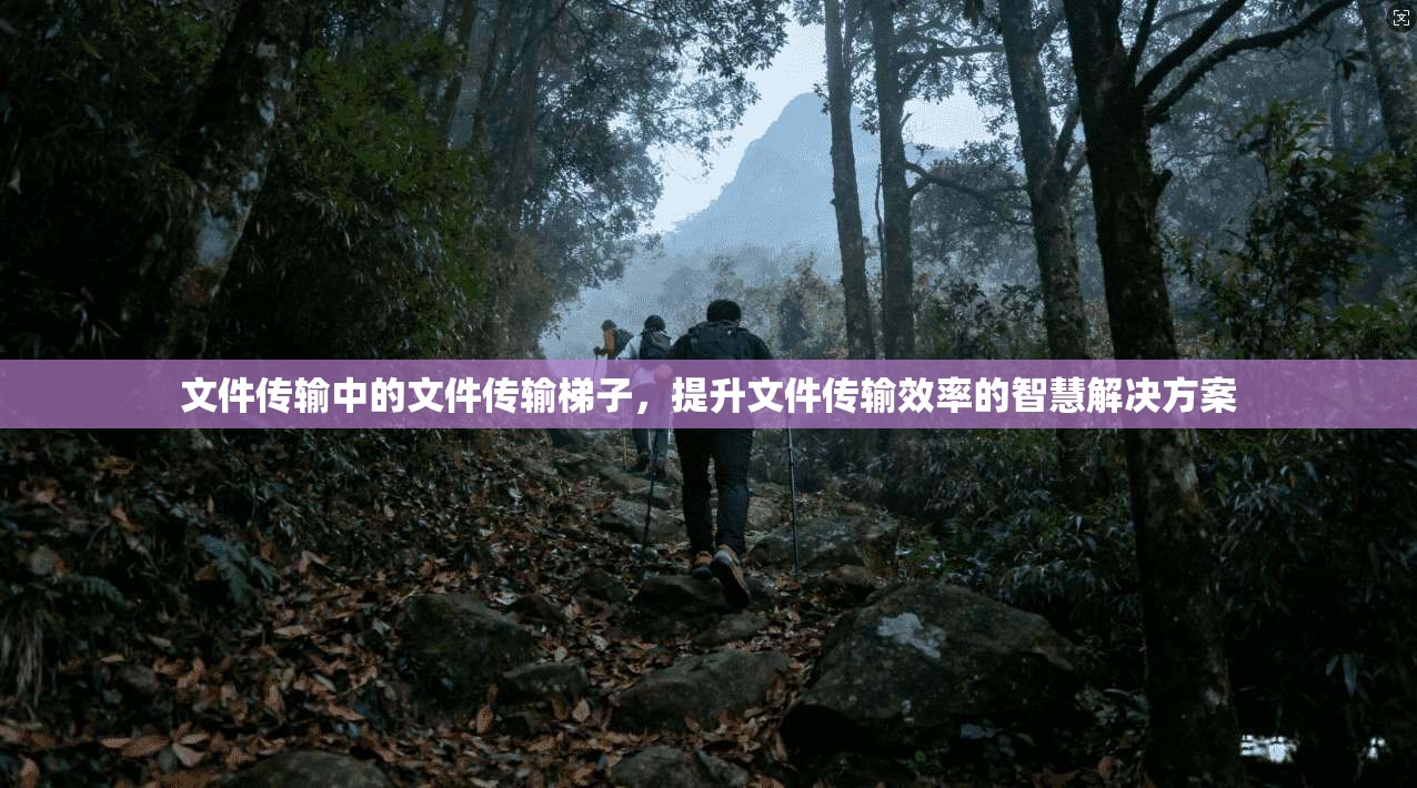 文件传输中的文件传输梯子,提升文件传输效率的智慧解决方案 第1张 文件传输中的文件传输梯子,提升文件传输效率的智慧解决方案 第1张